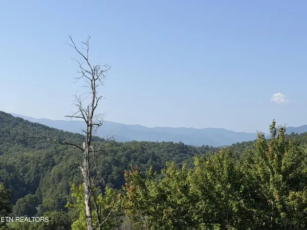 4228 Wears Valley Rd, Sevierville, TN 37862