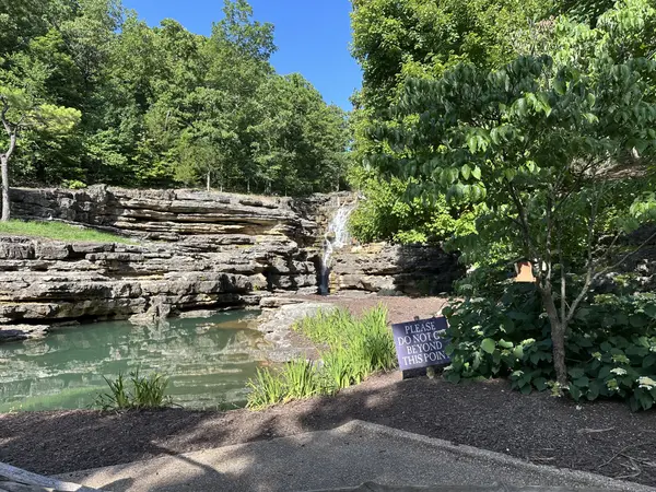 Rocks With Flowing Water And Trees