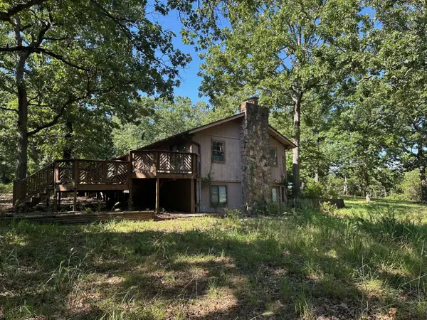 203 Blue Meadows DR, Branson, MO 65616