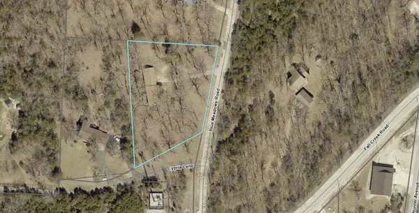 203 Blue Meadows DR, Branson, MO 65616