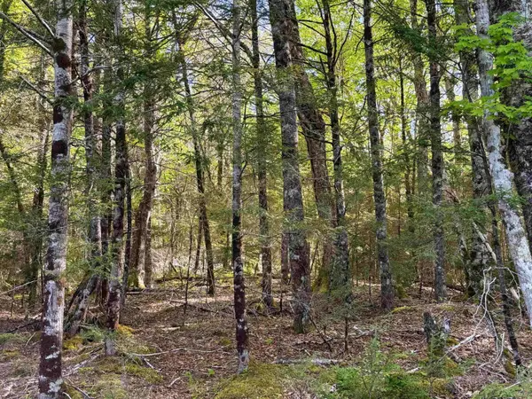 Old Coach Rd #Lot, Labelle, NS B0T 1E0