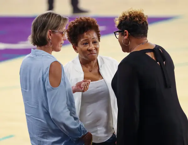 COMEDIAN WANDA SYKES