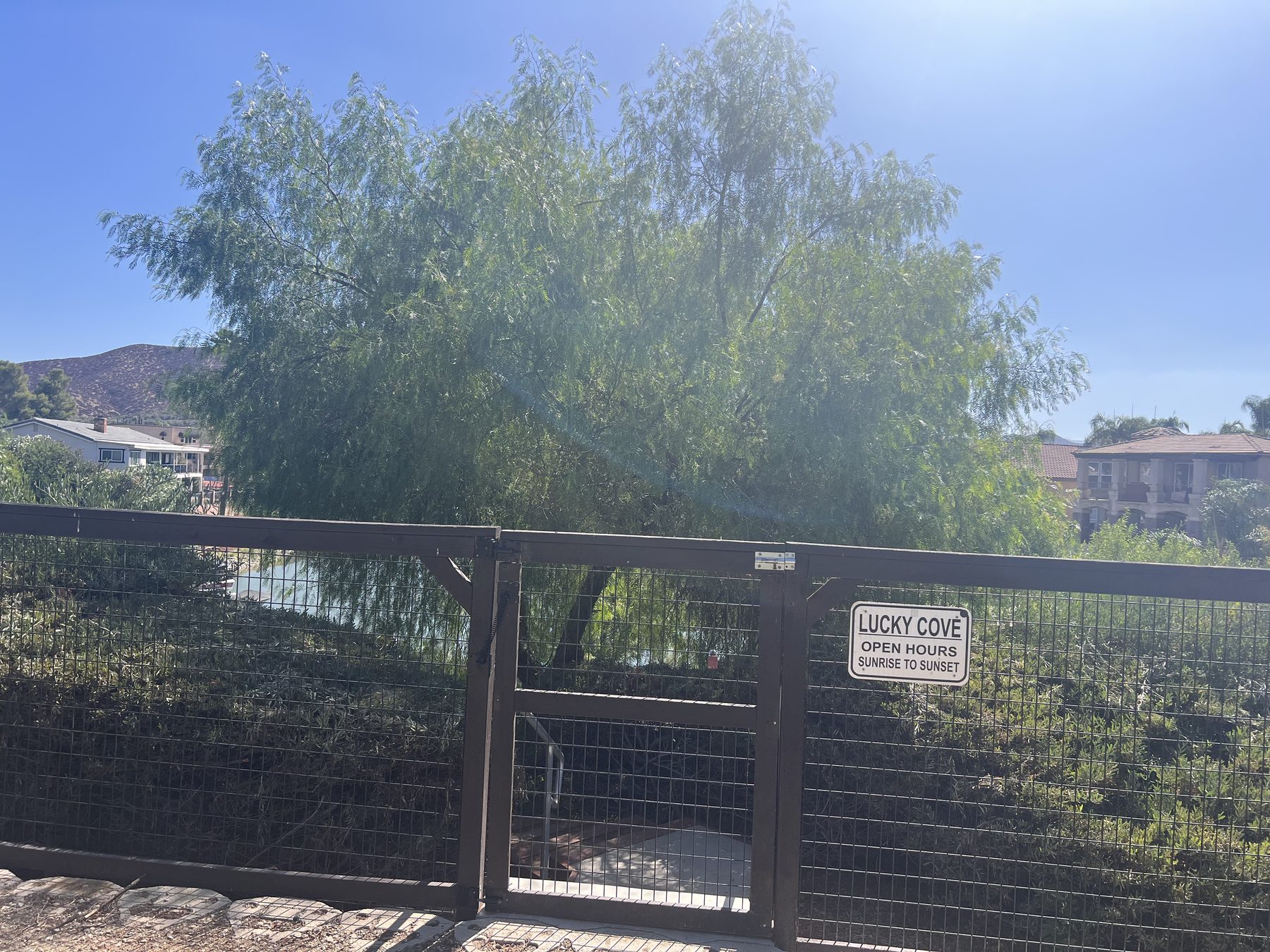 A gated Canyon Lake park entrance with a sign showing open hours from sunrise to sunset.