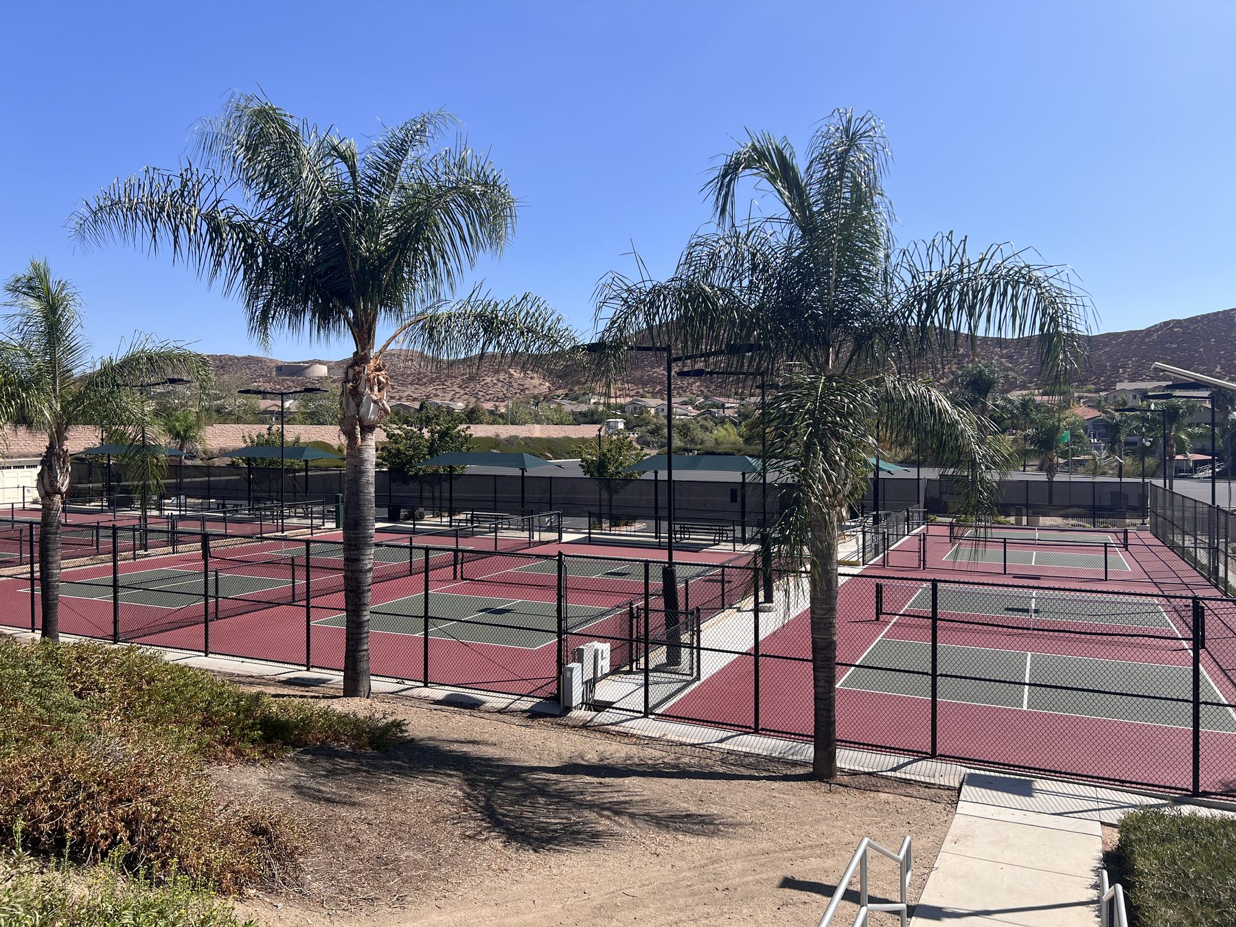 Tennis and pickleball courts framed by palm trees at East Port in Canyon Lake.