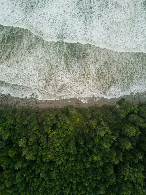 Vancouver Island coastline and forest