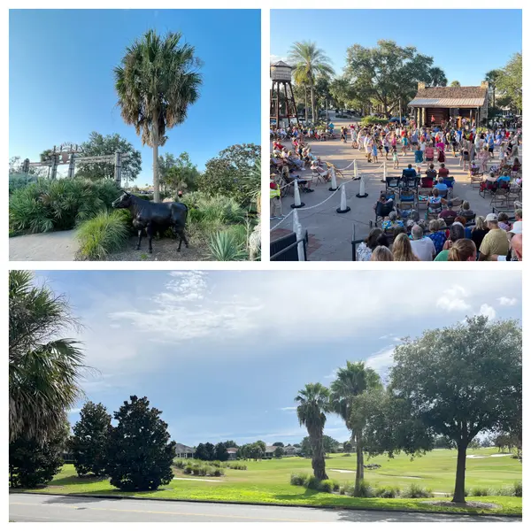 The Villages