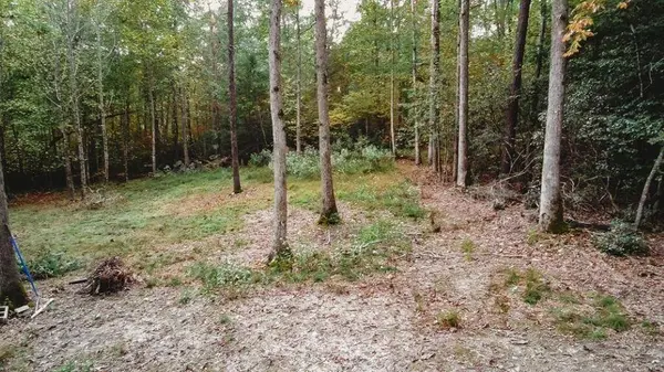 Lot 88 Nye Valley Rd, Bastian, VA 24314