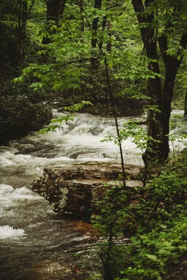 Lot 88 Nye Valley Rd, Bastian, VA 24314