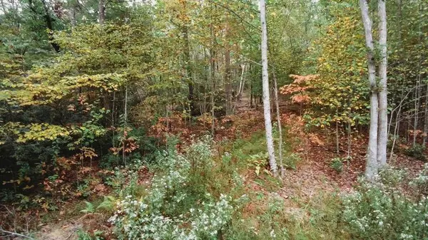 Lot 88 Nye Valley Rd, Bastian, VA 24314