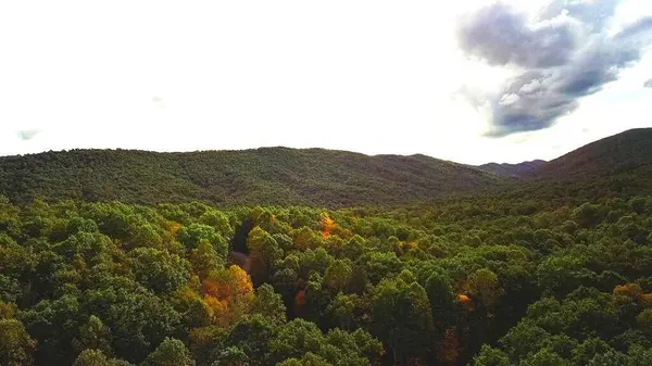 Lot 88 Nye Valley Rd, Bastian, VA 24314