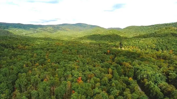 Lot 88 Nye Valley Rd