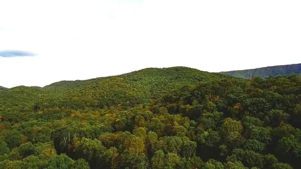 Lot 88 Nye Valley Rd, Bastian, VA 24314