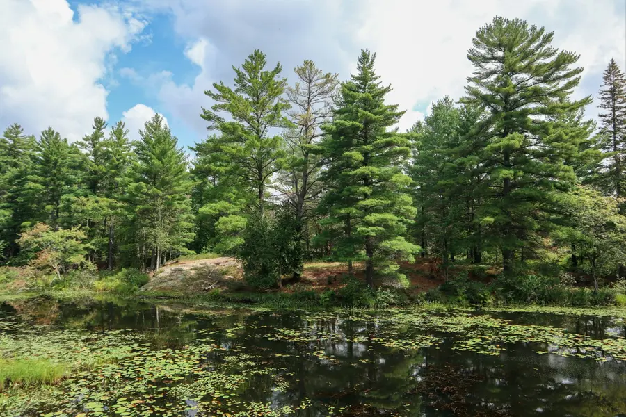 Kawartha Lakes
