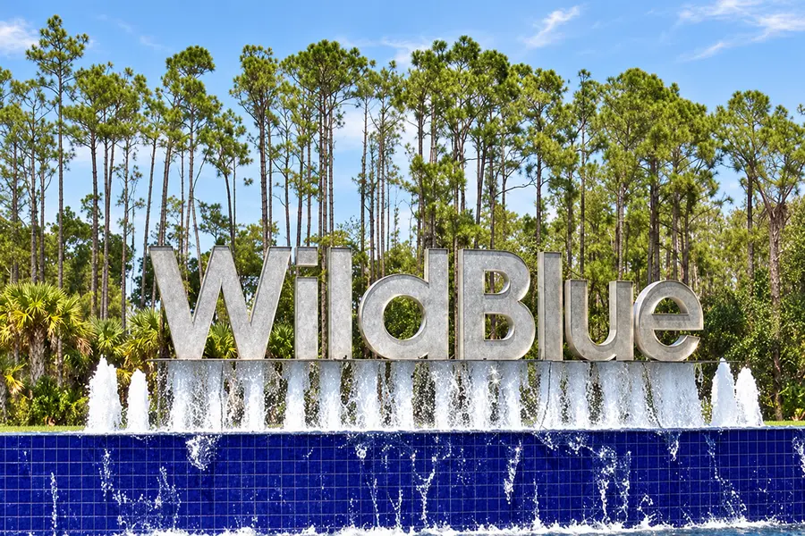 Wild Blue