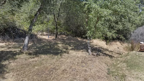 Oroville, CA 95966-5522,3731 Olive Hwy