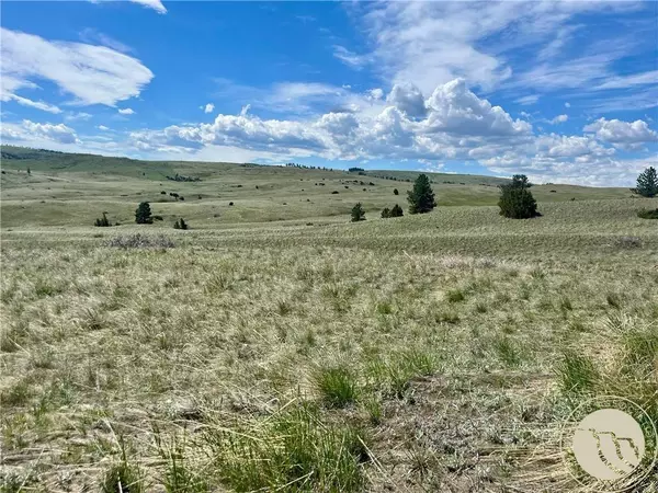 251 Hump Creek Lot 1 RD, Reed Point, MT 59069