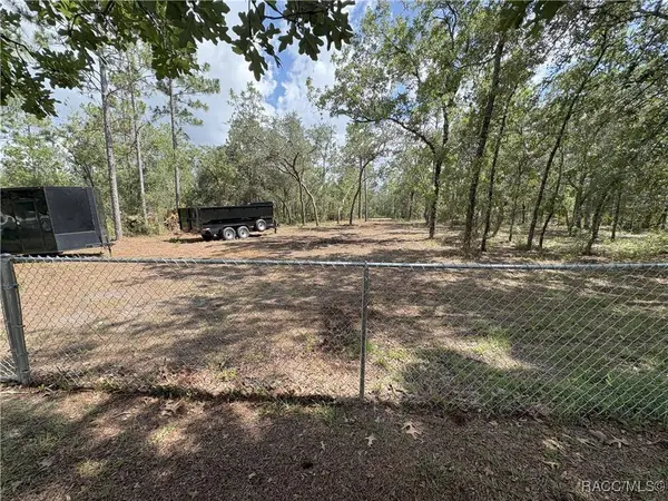 11282 Sneeze RD, Weeki Wachee, FL 34614