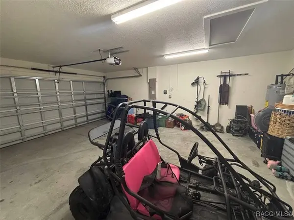 11282 Sneeze RD, Weeki Wachee, FL 34614