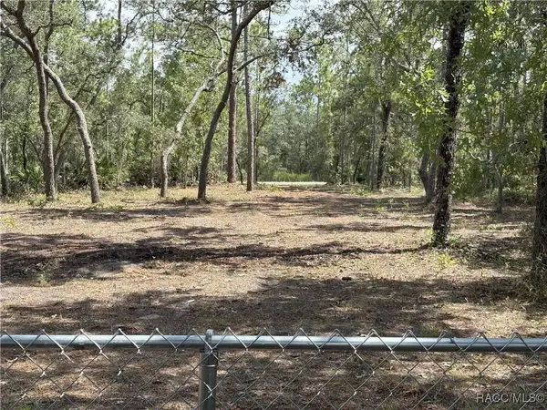 11282 Sneeze RD, Weeki Wachee, FL 34614