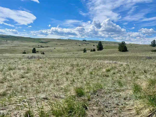 251 Hump Creek RD, Reed Point, MT 59069