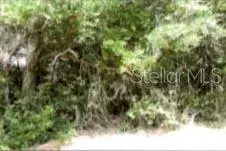 12325 & 12303 STAGG RD, Winter Garden, FL 34787