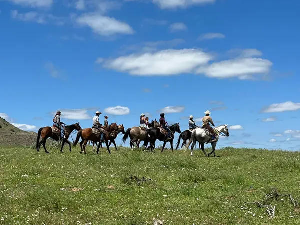 60 Five Mile Creek RD, Edgar, MT 59026