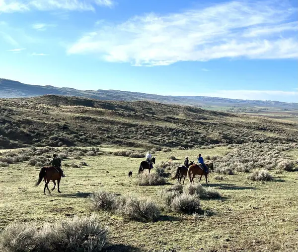 60 Five Mile Creek RD, Edgar, MT 59026