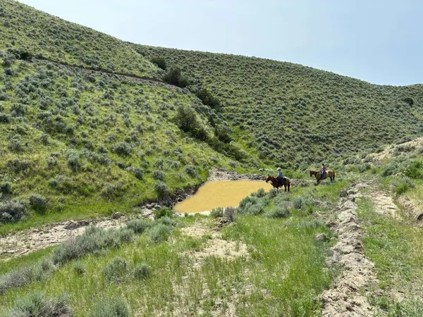 60 Five Mile Creek RD, Edgar, MT 59026
