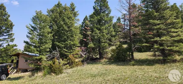 TBD PVT 1 Road, Other, MT 59641