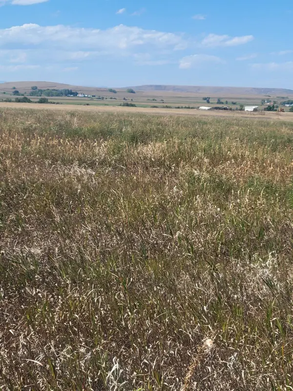 148 Internet Access, Roberts, MT 59070