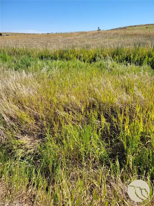 148 Internet Access, Roberts, MT 59070