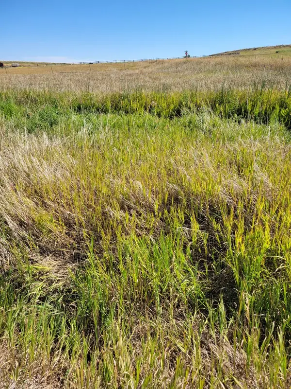 148 Internet Access, Roberts, MT 59070