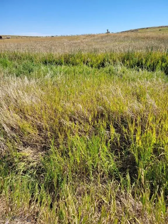 148 Internet Access, Roberts, MT 59070