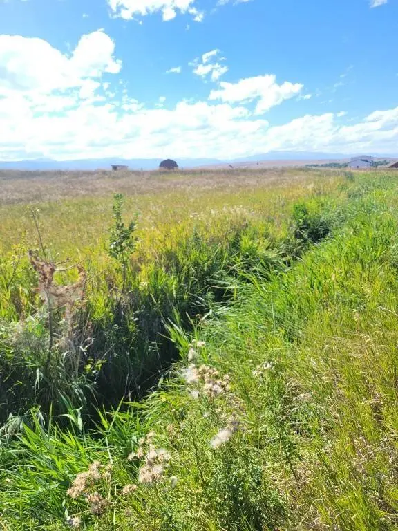 148 Internet Access, Roberts, MT 59070