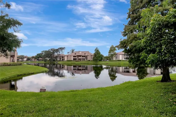 10265 GANDY BLVD N #816, St Petersburg, FL 33702