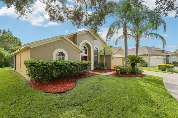 18008 SPARROWS NEST DR, Lutz, FL 33558