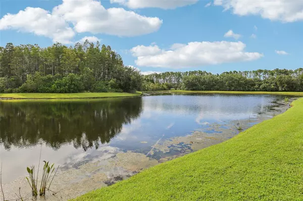 18008 SPARROWS NEST DR, Lutz, FL 33558