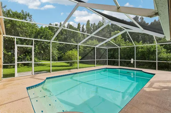 18008 SPARROWS NEST DR, Lutz, FL 33558