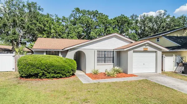 16309 CALIENTE PL, Tampa, FL 33624