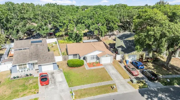 16309 CALIENTE PL, Tampa, FL 33624