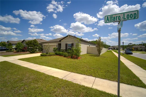 19047 ALFARO LOOP, Spring Hill, FL 34610