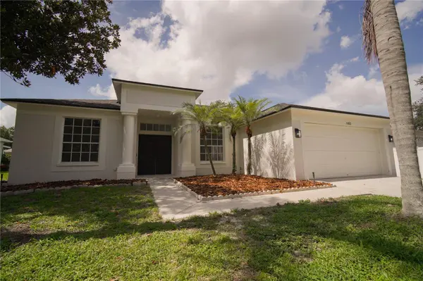 11403 WELLMAN DR, Riverview, FL 33578