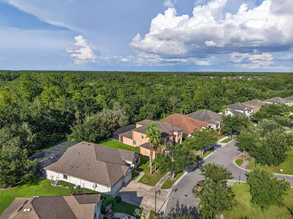 7945 HAMPTON LAKE DR, Tampa, FL 33647