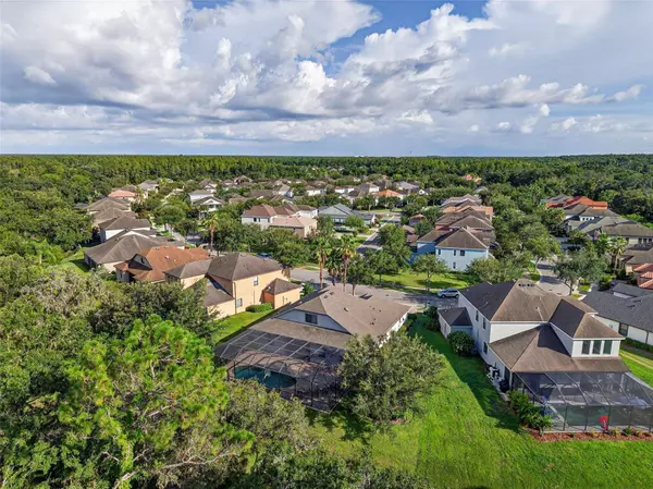 7945 HAMPTON LAKE DR, Tampa, FL 33647