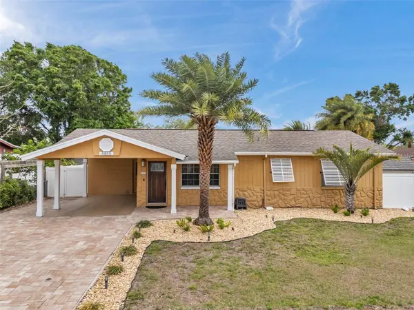 4815 PLANTATION DR, Tampa, FL 33615