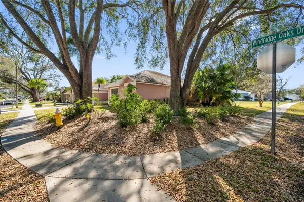 3040 WINDRIDGE OAKS DR, Palm Harbor, FL 34684