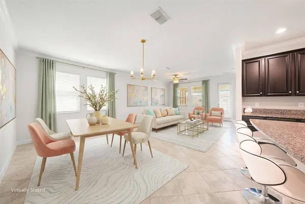 10641 BAHAMA WOODSTAR CT, Riverview, FL 33579