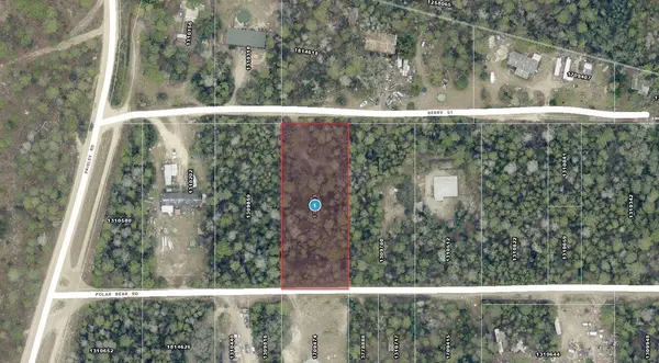 BERRY ST, Paisley, FL 32767