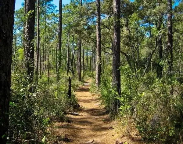 BERRY ST, Paisley, FL 32767