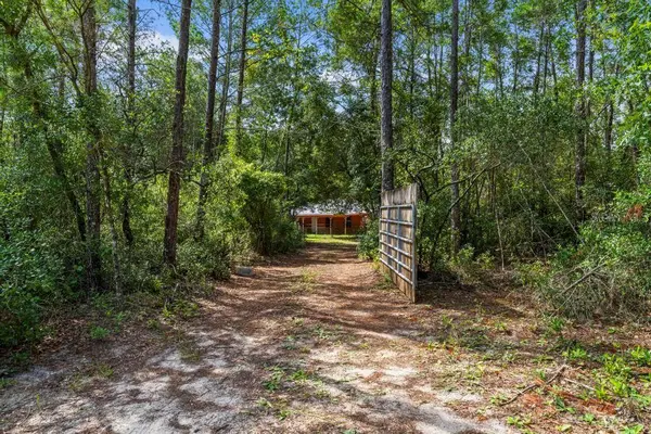 24607 POLAR BEAR RD, Paisley, FL 32767